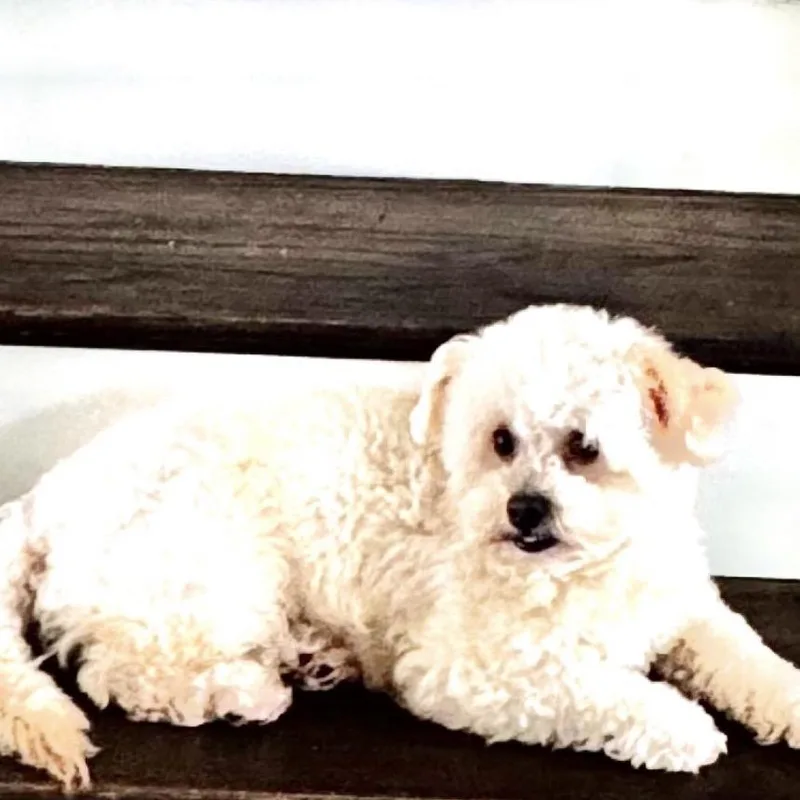 Daisy Anne thumbnail 4