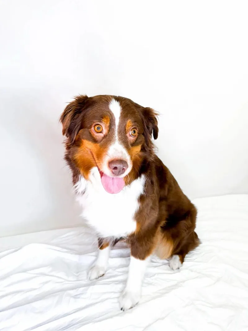 Reese thumbnail 2