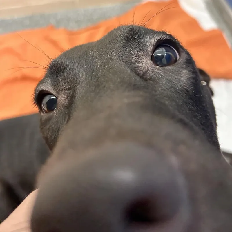 Tucker thumbnail 2
