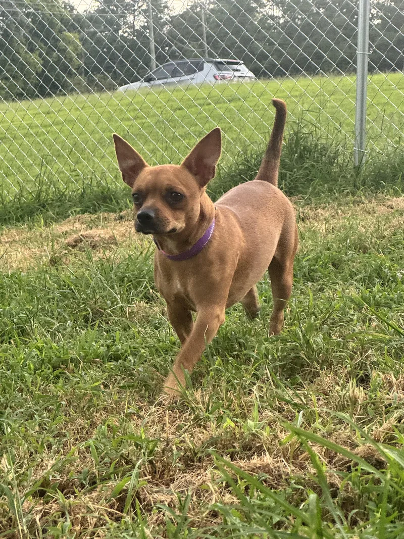 Kyro