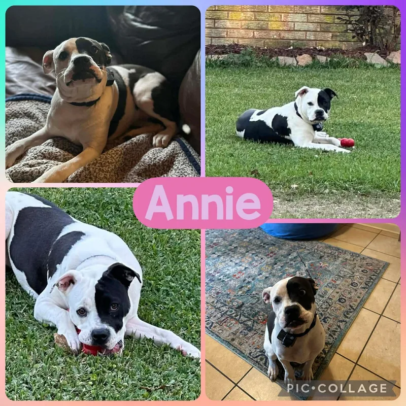 Annie