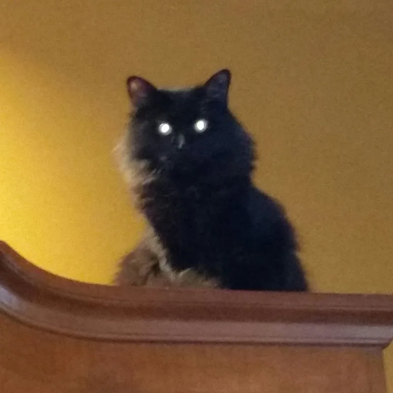 Mystique thumbnail 2