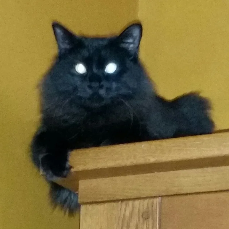 Mystique thumbnail 3