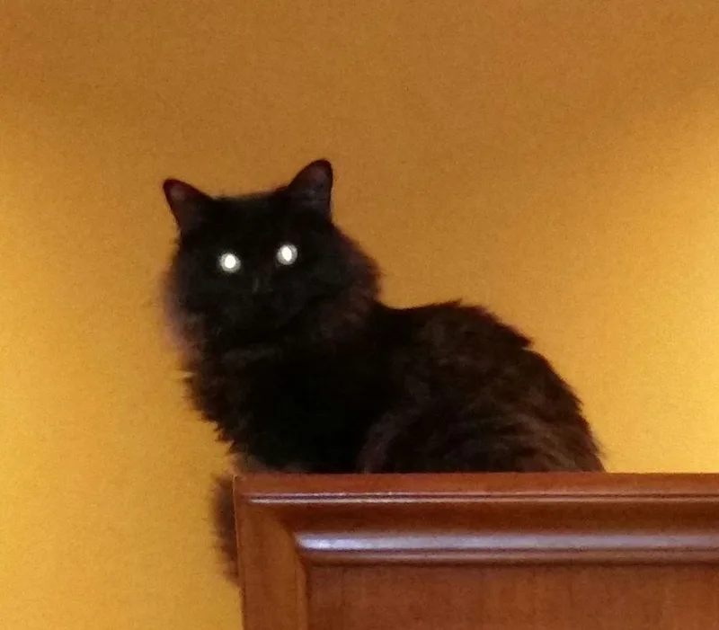 Mystique thumbnail 5