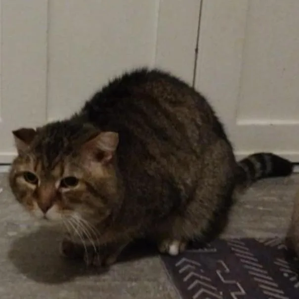 Charlie thumbnail 3