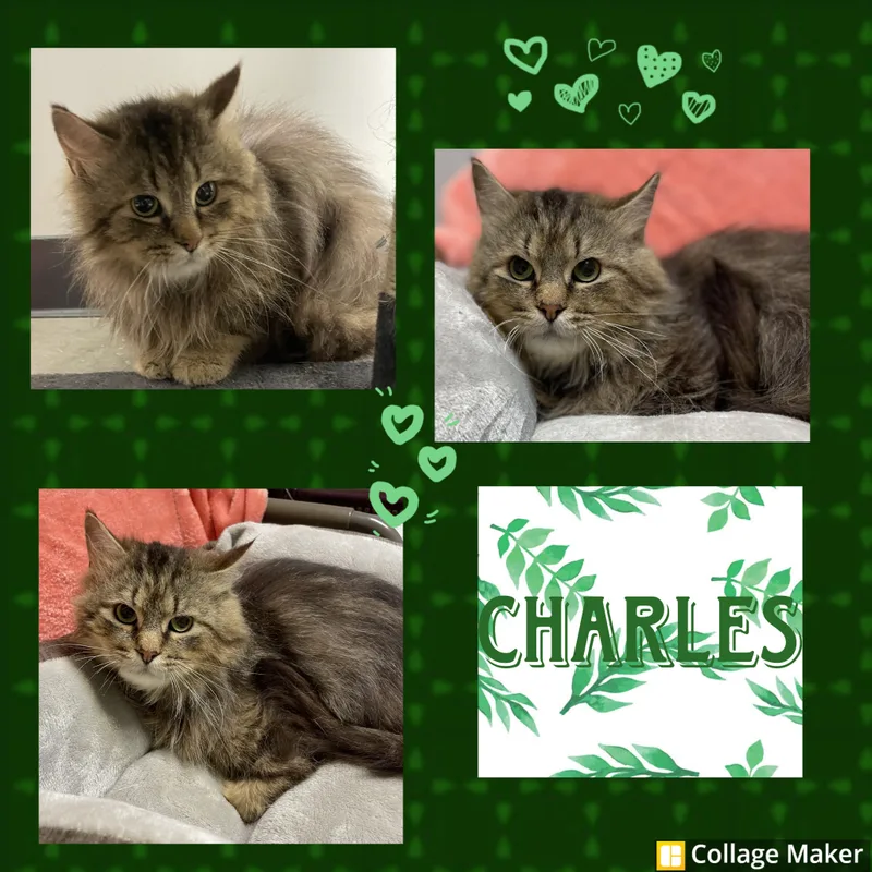 Charles