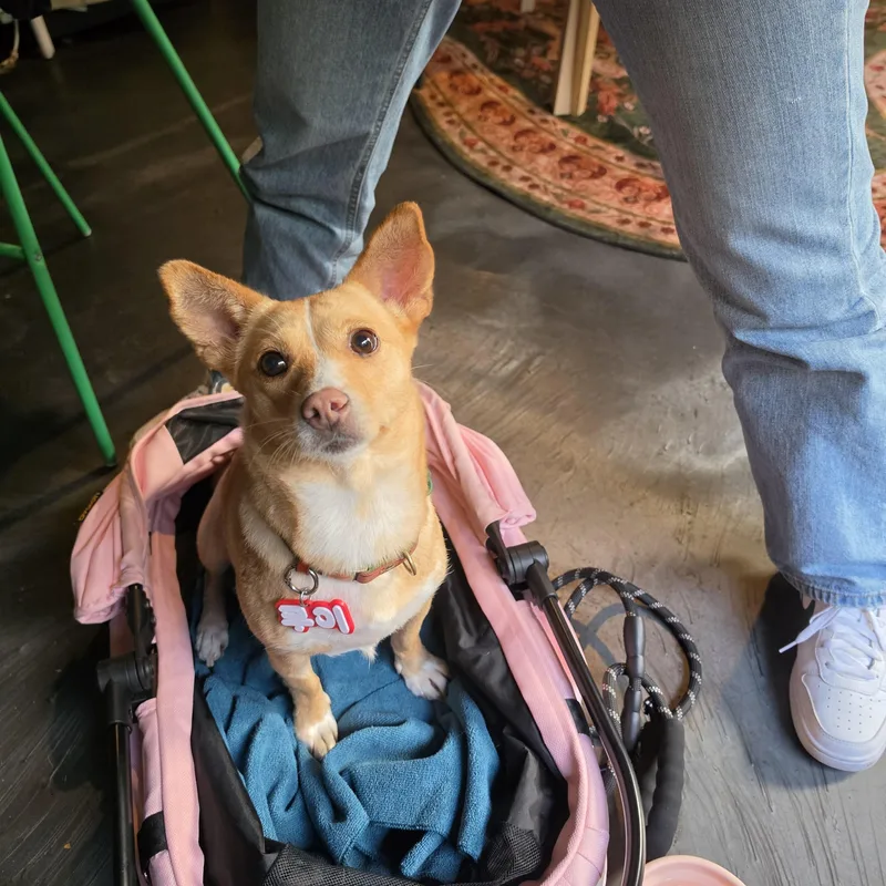 Mui thumbnail 6