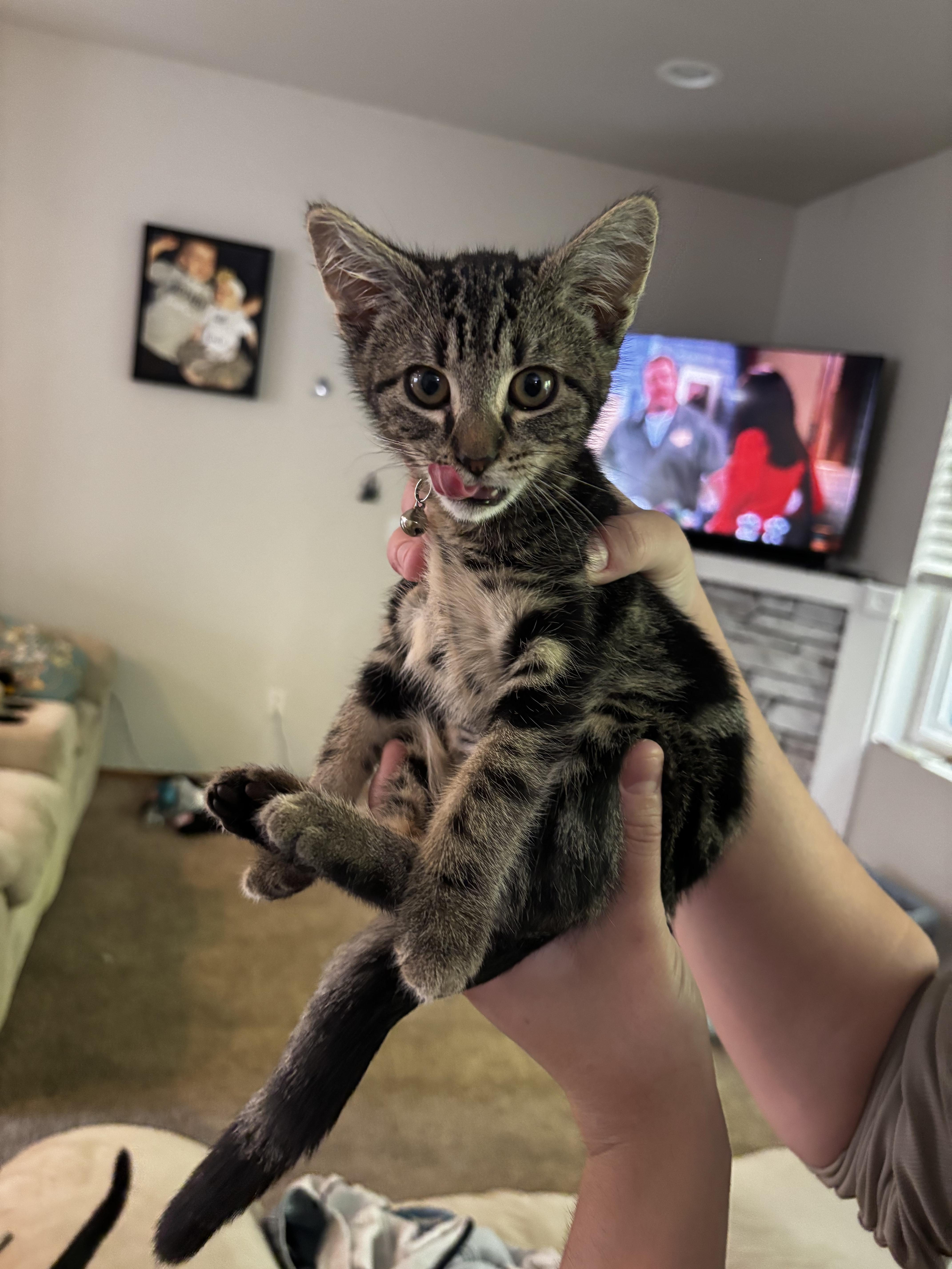 Pepper thumbnail 5