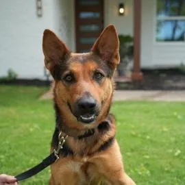 Persephone thumbnail 4