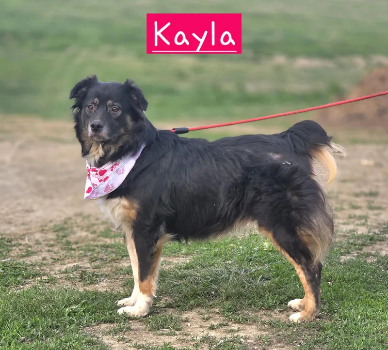 Kayla thumbnail 3