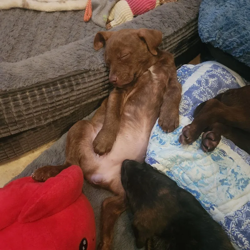 Espresso! thumbnail 5