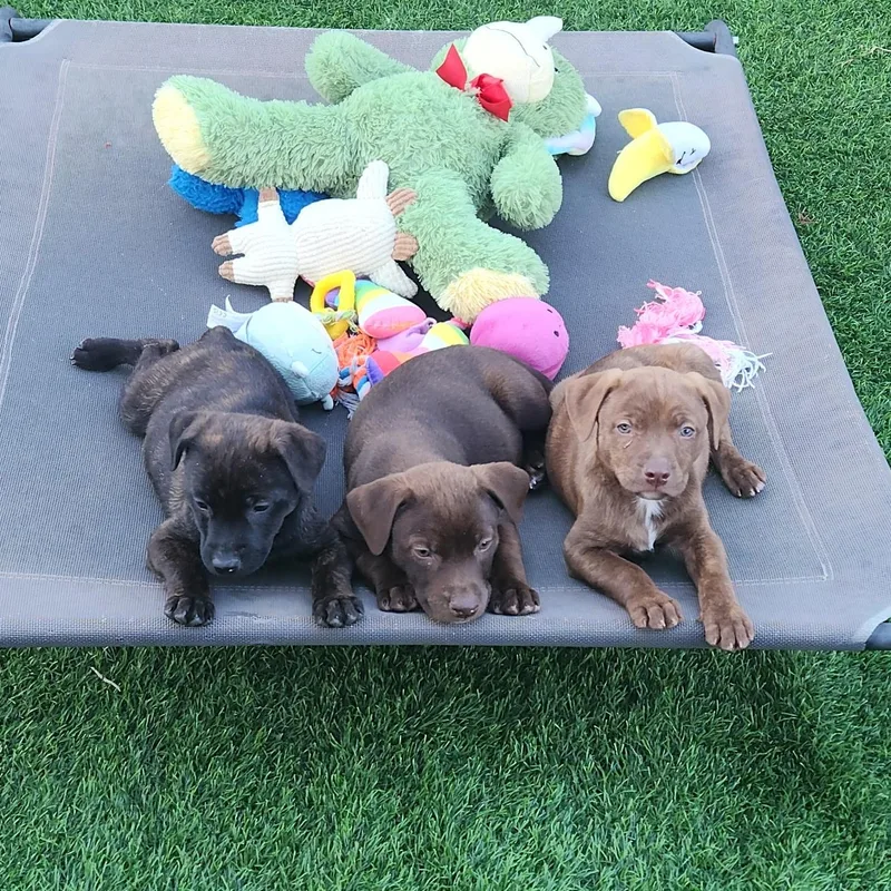 Espresso! thumbnail 6