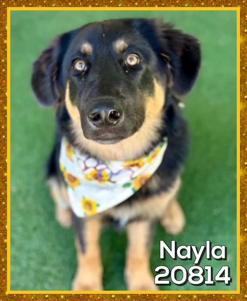 Nayla thumbnail 2