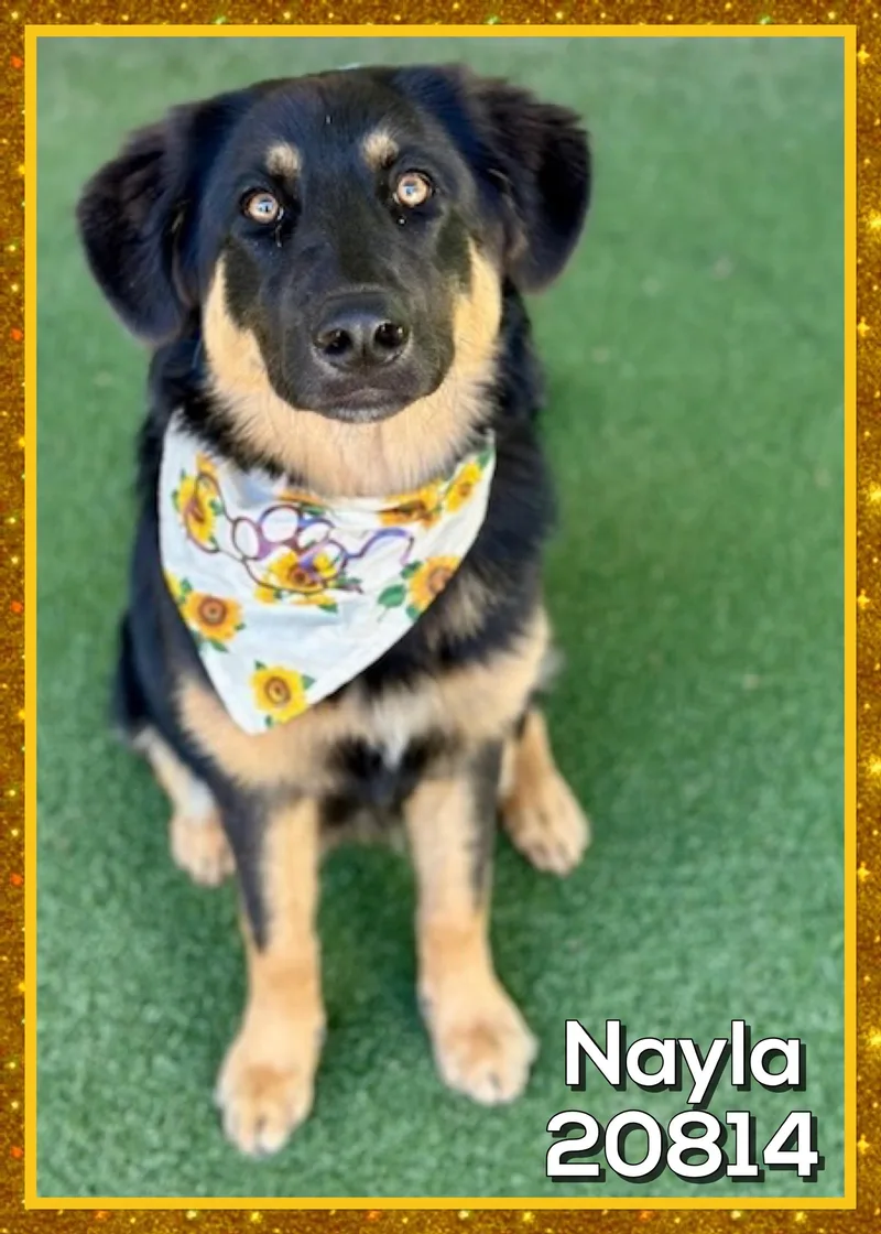 Nayla thumbnail 5