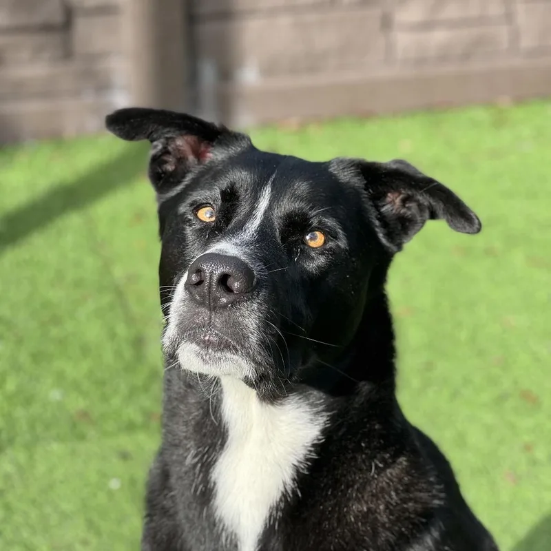 Drift A.k.a Reeves thumbnail 2