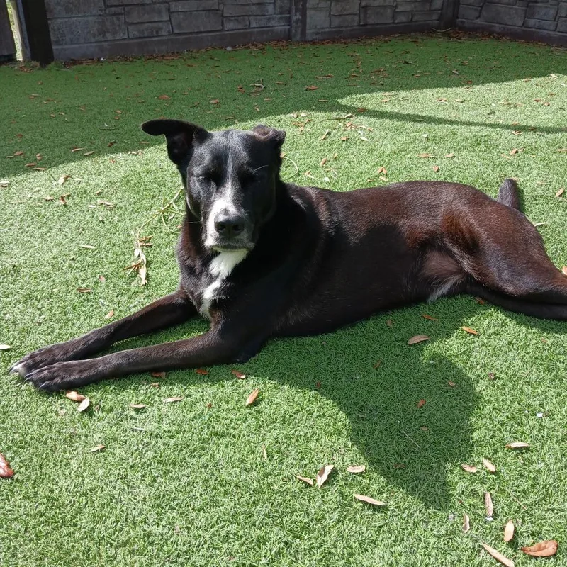 Drift A.k.a Reeves thumbnail 3