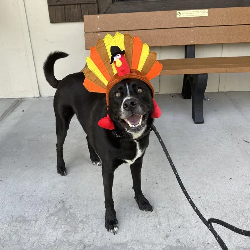 Drift A.k.a Reeves thumbnail 4