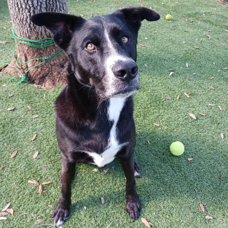 Drift A.k.a Reeves thumbnail 5