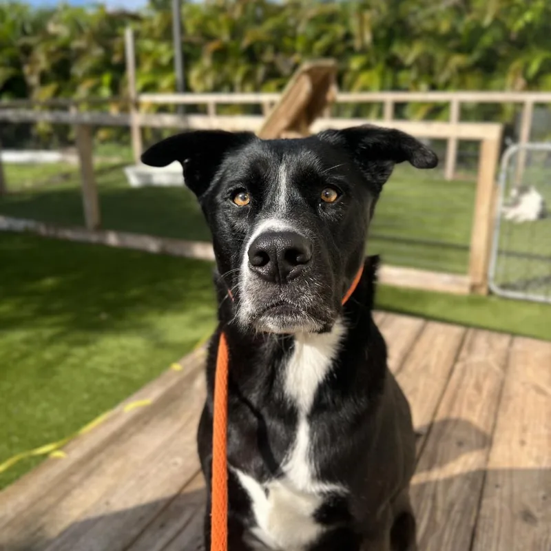 Drift A.k.a Reeves thumbnail 6