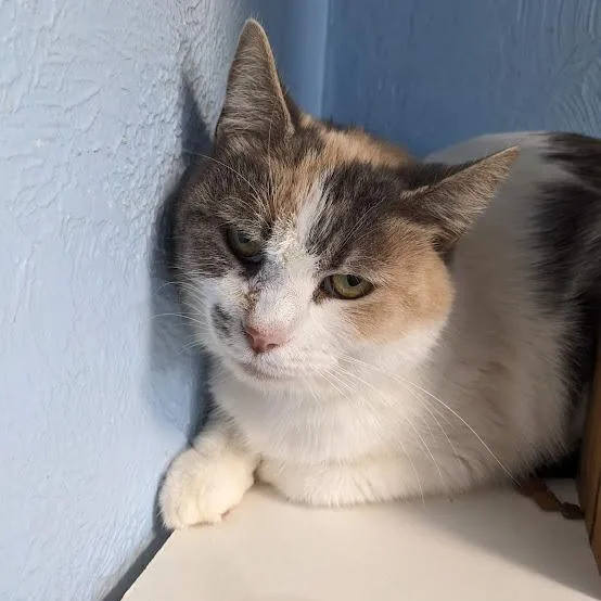 Sandra Green thumbnail 2