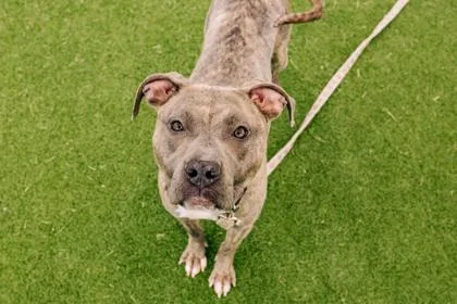 Sandy Fka Persephone thumbnail 2