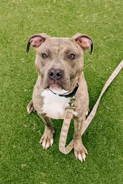 Sandy Fka Persephone thumbnail 3