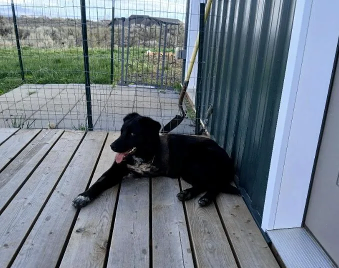 Captain Jack thumbnail 3