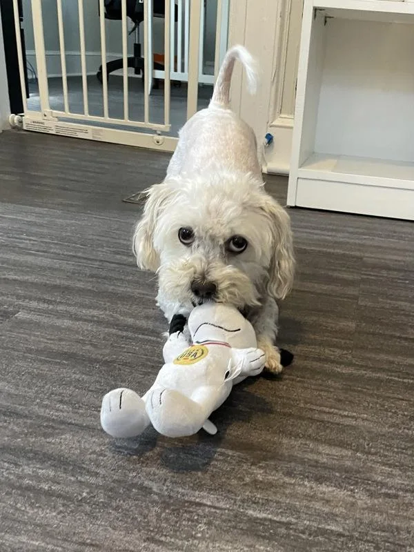 Christopher thumbnail 2