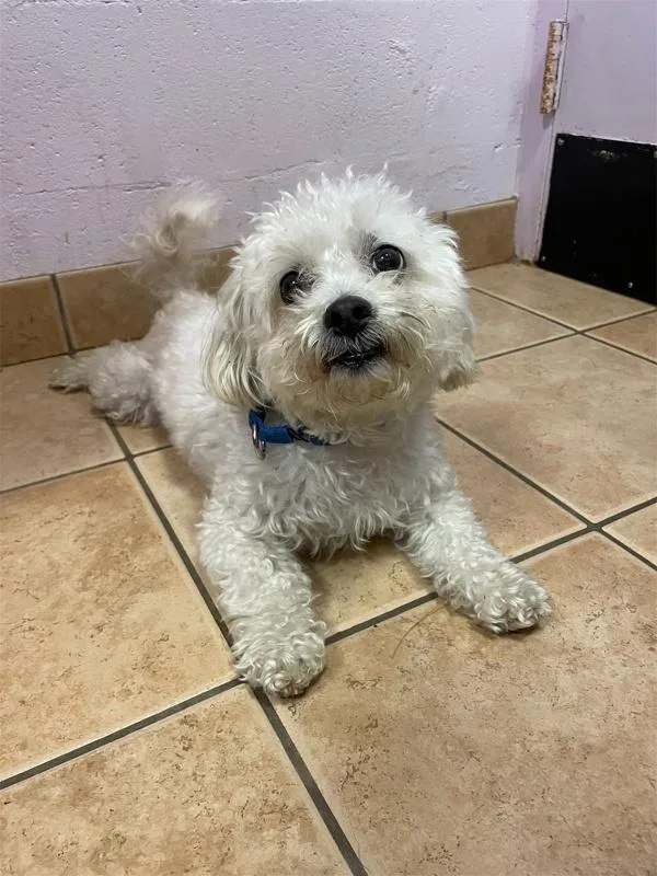 Christopher thumbnail 3