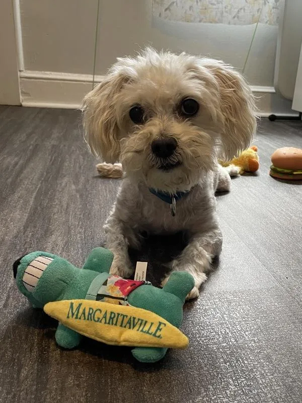 Christopher thumbnail 5