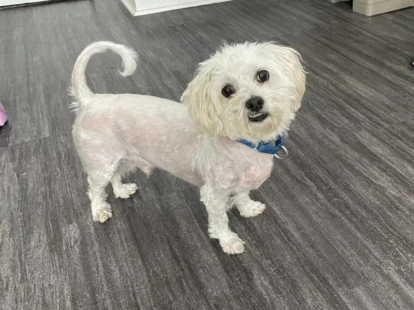 Christopher thumbnail 6