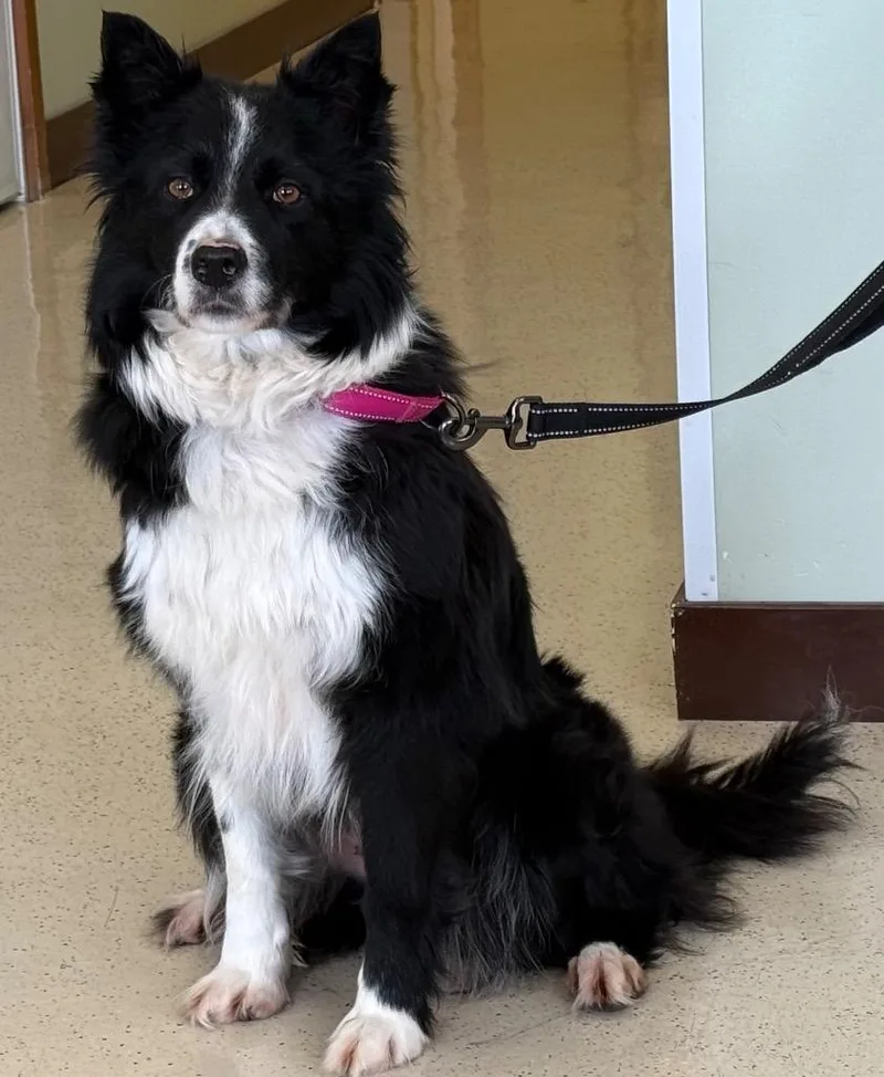 Tilly thumbnail 3