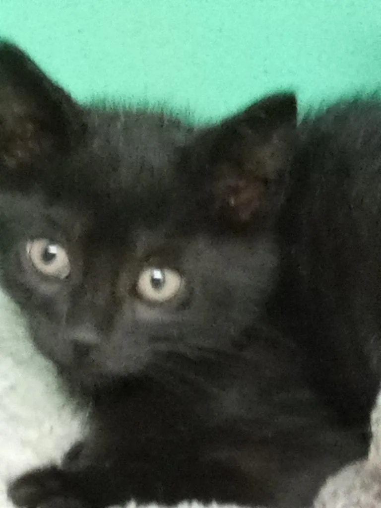 Ragnar