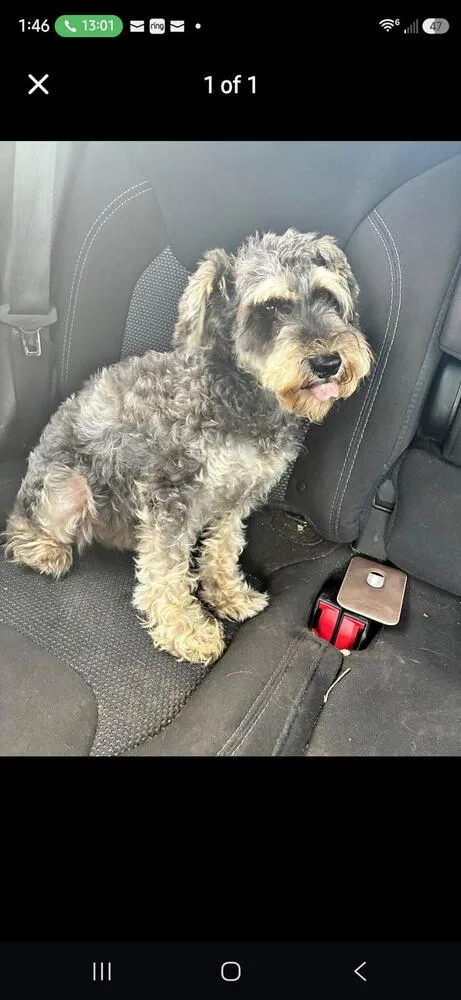 Minnie