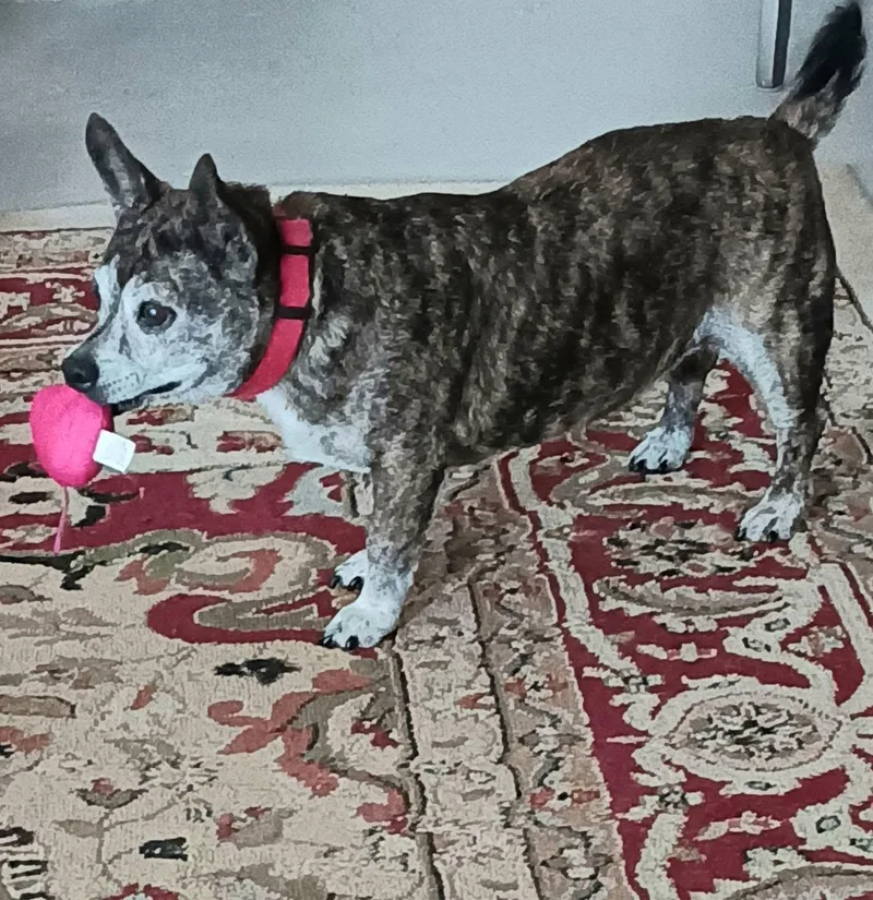 Clementine thumbnail 5