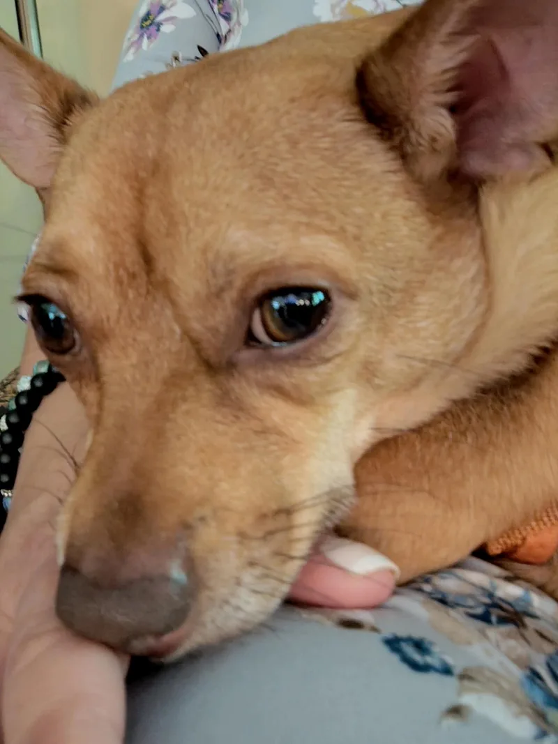 Eddie thumbnail 4