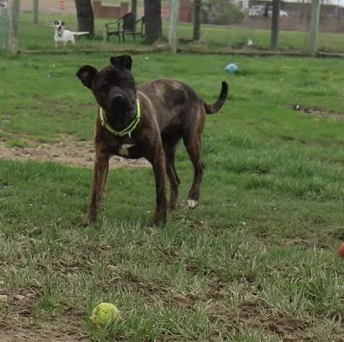 Joni Lou thumbnail 3