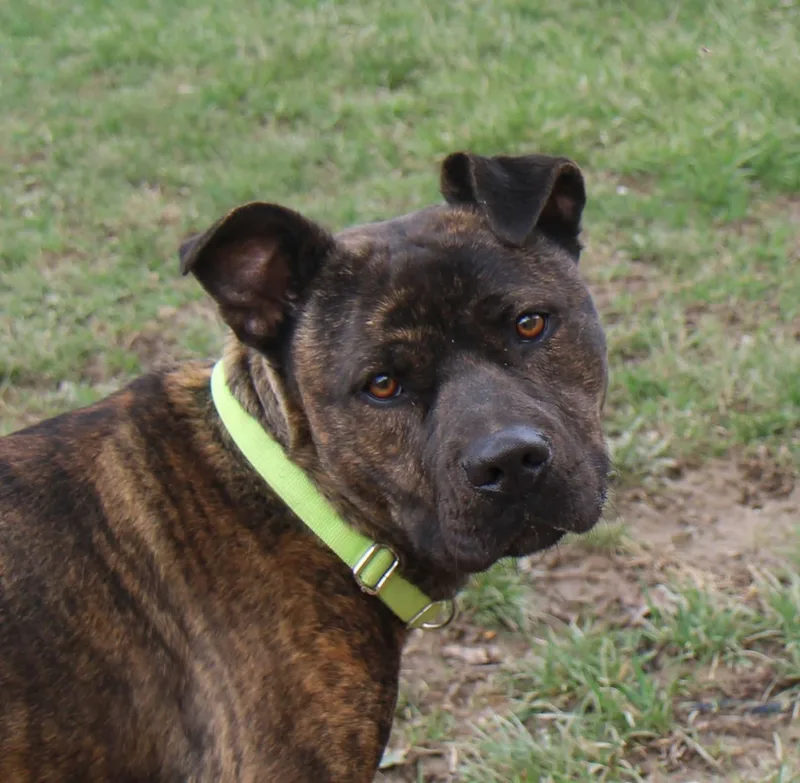 Joni Lou thumbnail 6