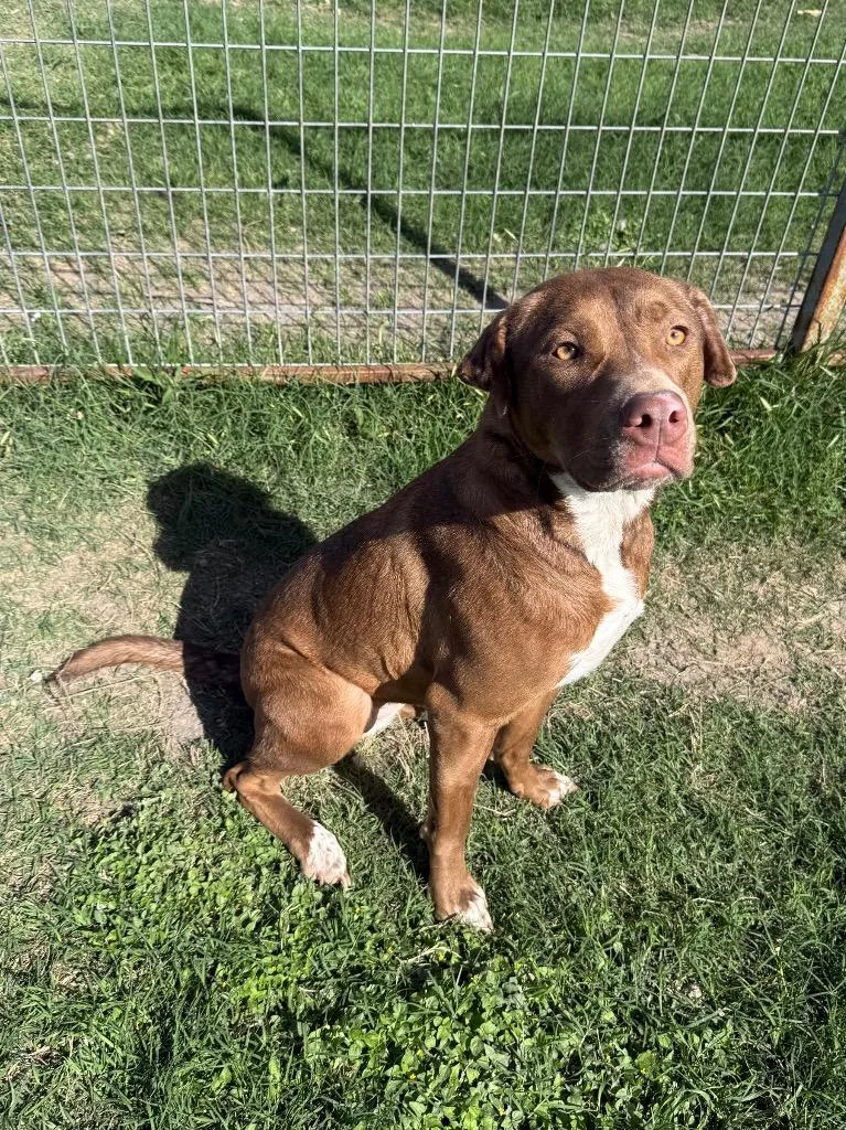 Blue Ivy thumbnail 2