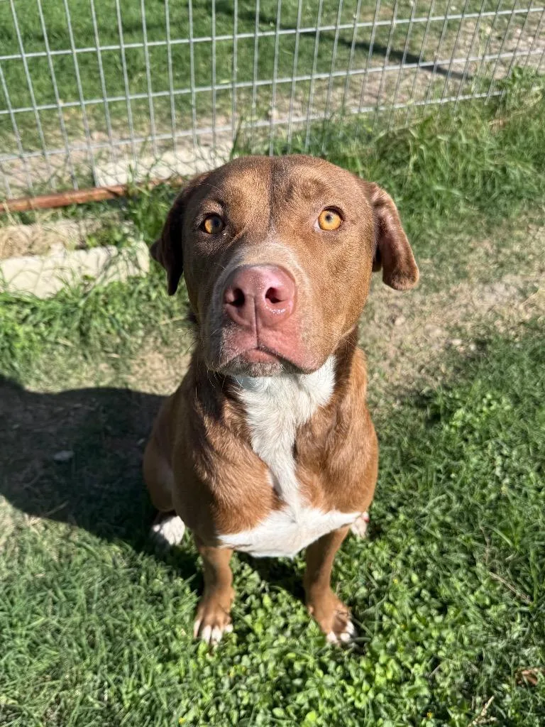 Blue Ivy thumbnail 3