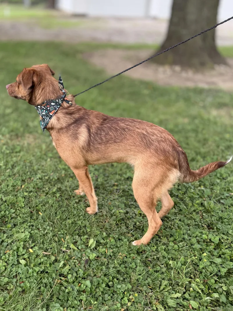 Ellie