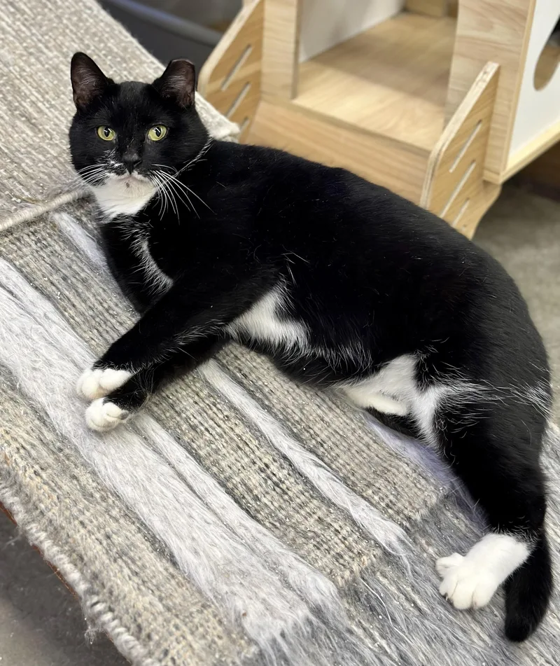 Boss Man thumbnail 3