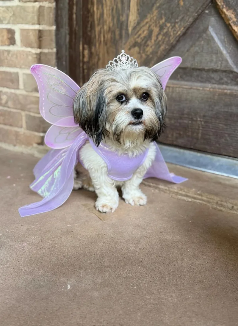 Ellie Jay thumbnail 3