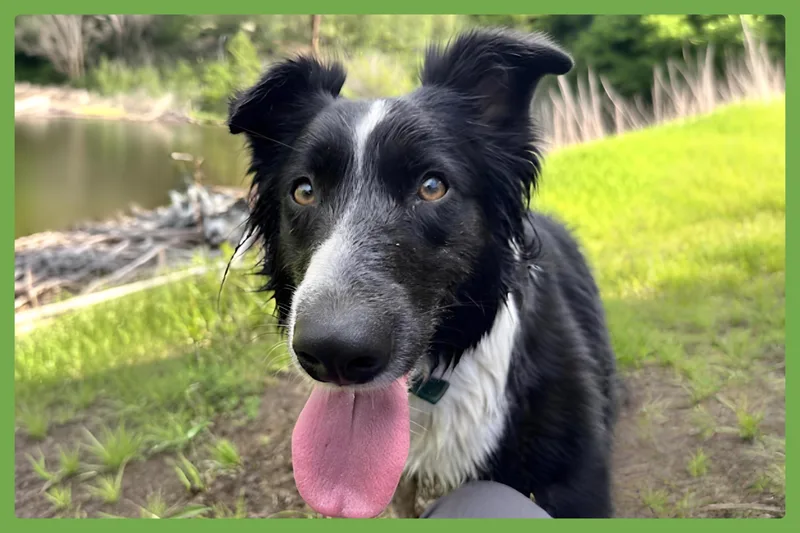 Inti thumbnail 3