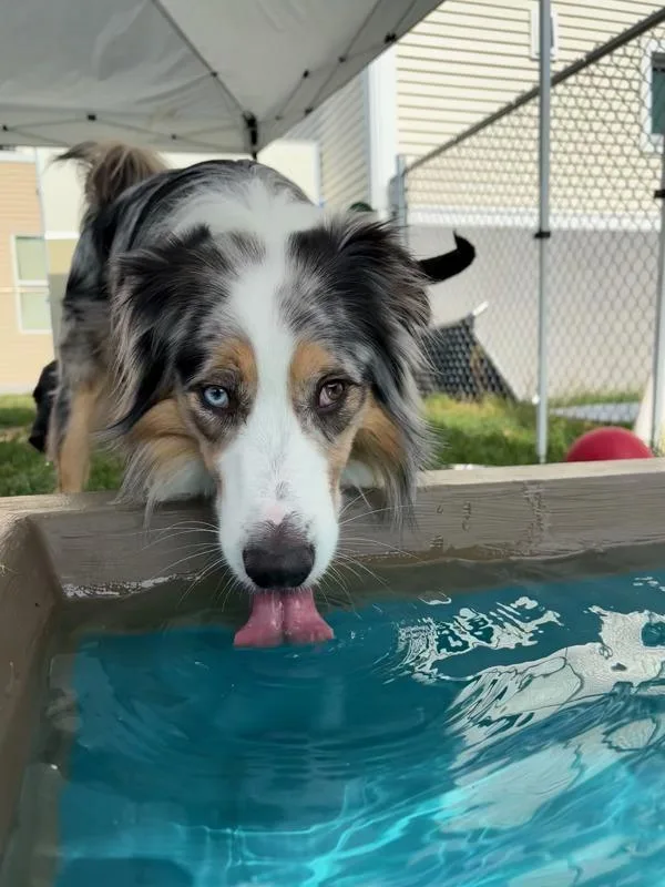 Max