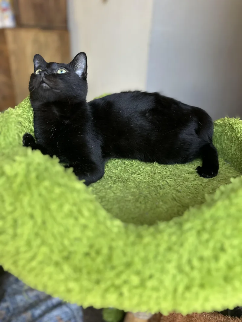 P.sherman  Wallaby Way thumbnail 2