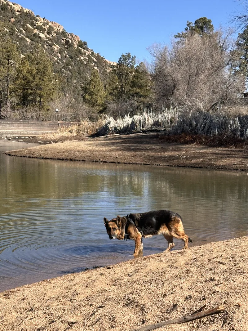 🍌 Chiquita “banana” — thumbnail 2