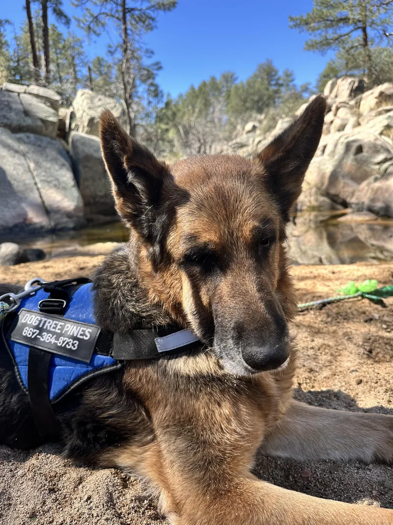 🍌 Chiquita “banana” — thumbnail 4