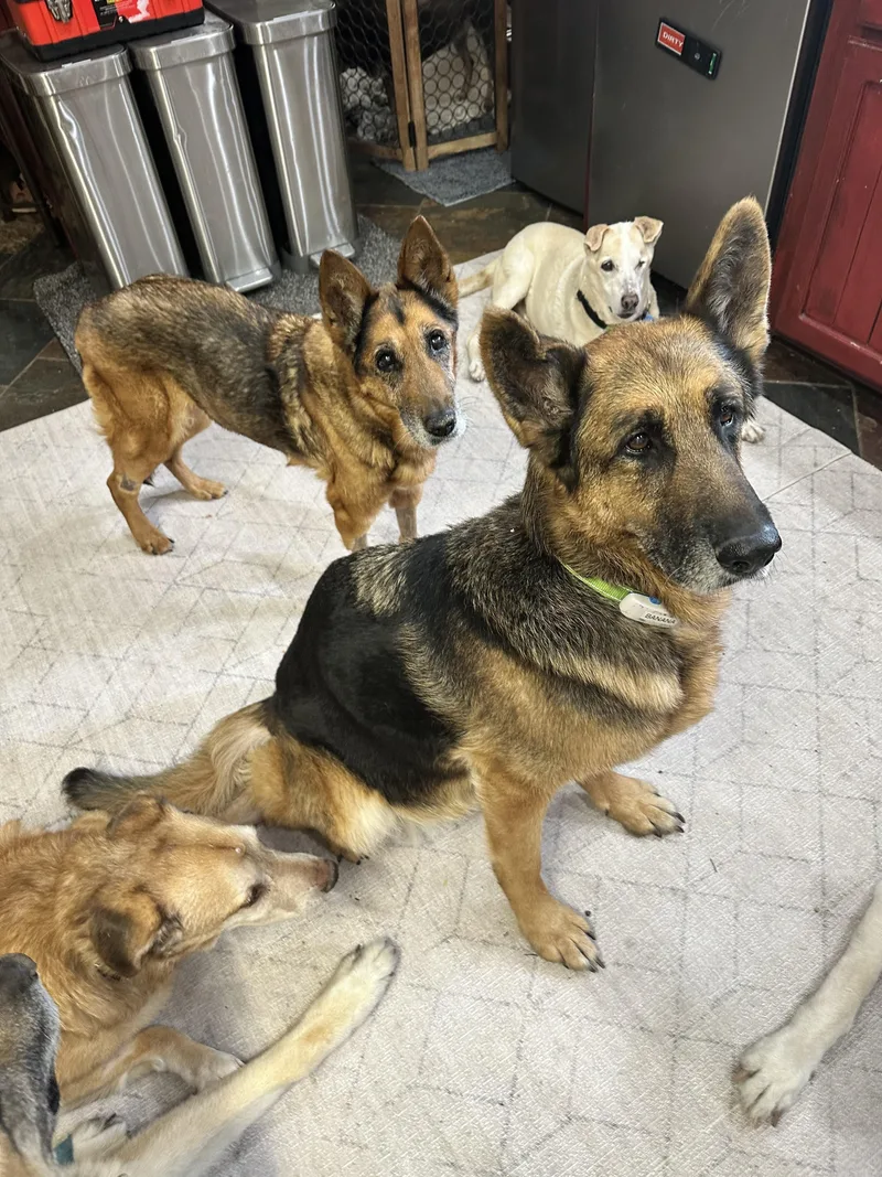 🍌 Chiquita “banana” — thumbnail 5