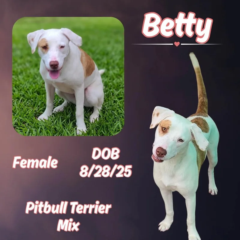 Betty